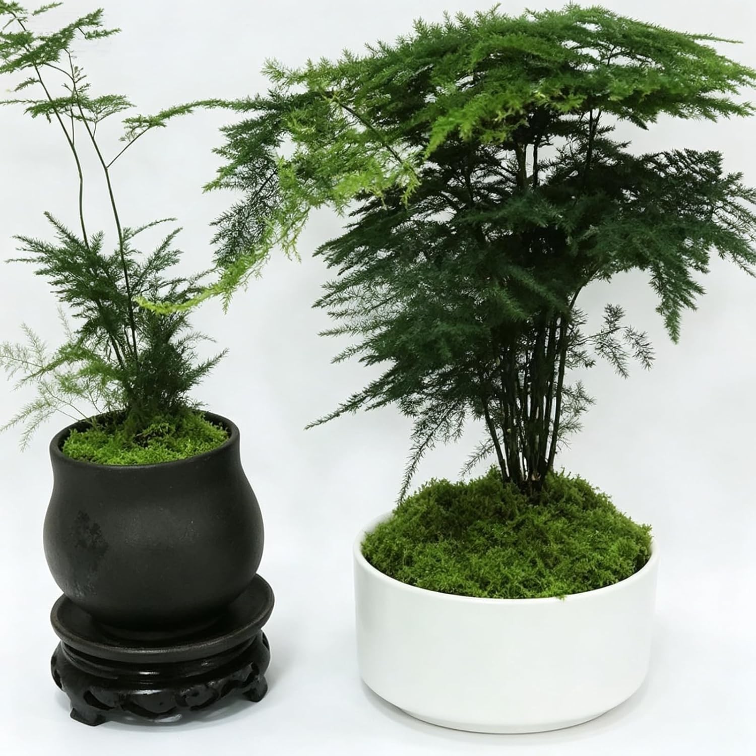Artificial Green Moss Mat 200g Faux Moss for Terrariums Bonsai Fairy Garden
