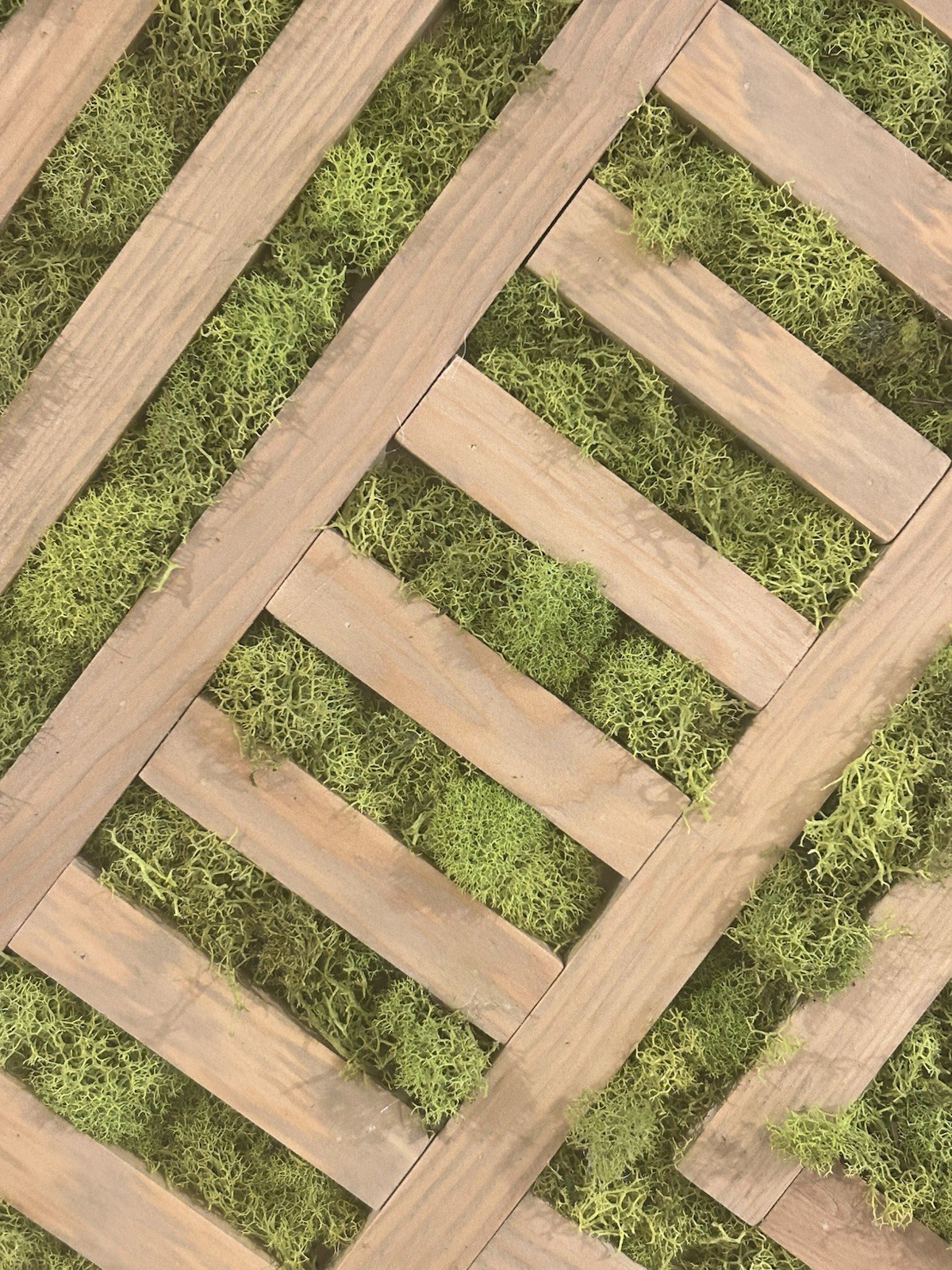 Handmade Preserved Moss Geometric Wall Art – For Your Living Space 24″x24″