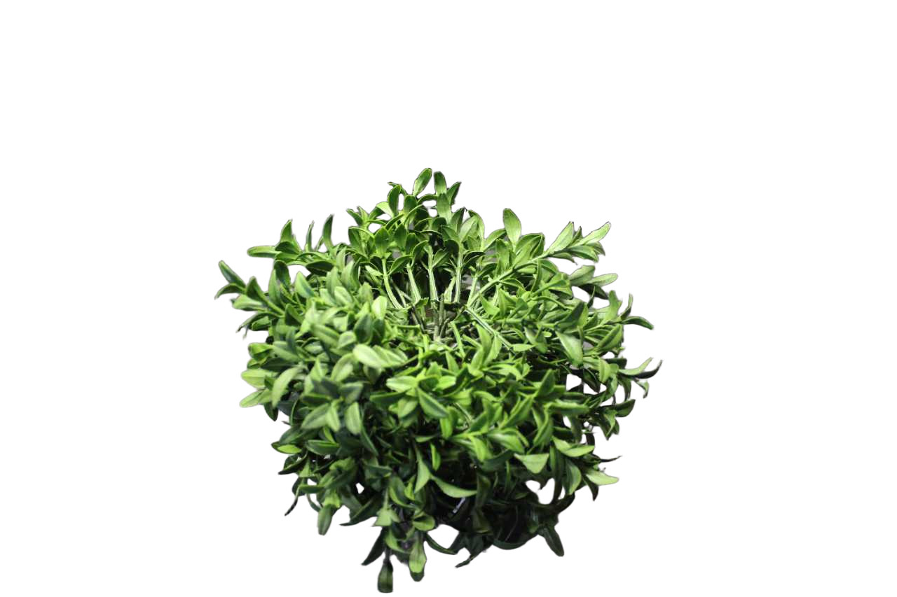 Artificial Boxwood Topiary Tree Faux Green Plant In Potted for Indoor Home Decor