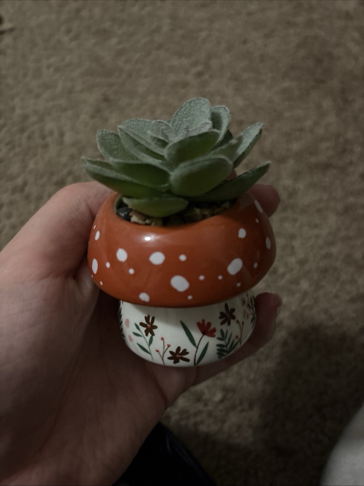 Mushroom Succulent Desk Plant Home Office Decor