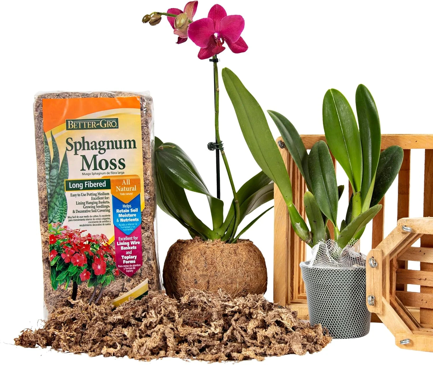Sphagnum Moss – 100% Natural, Long-Fiber Moss for Orchids, Ferns, and Hostas,.