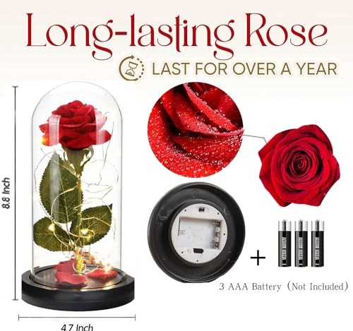 Beauty and The Beast Rose in Glass Dome, Preserved Rose Enchanted Silk Rose Red