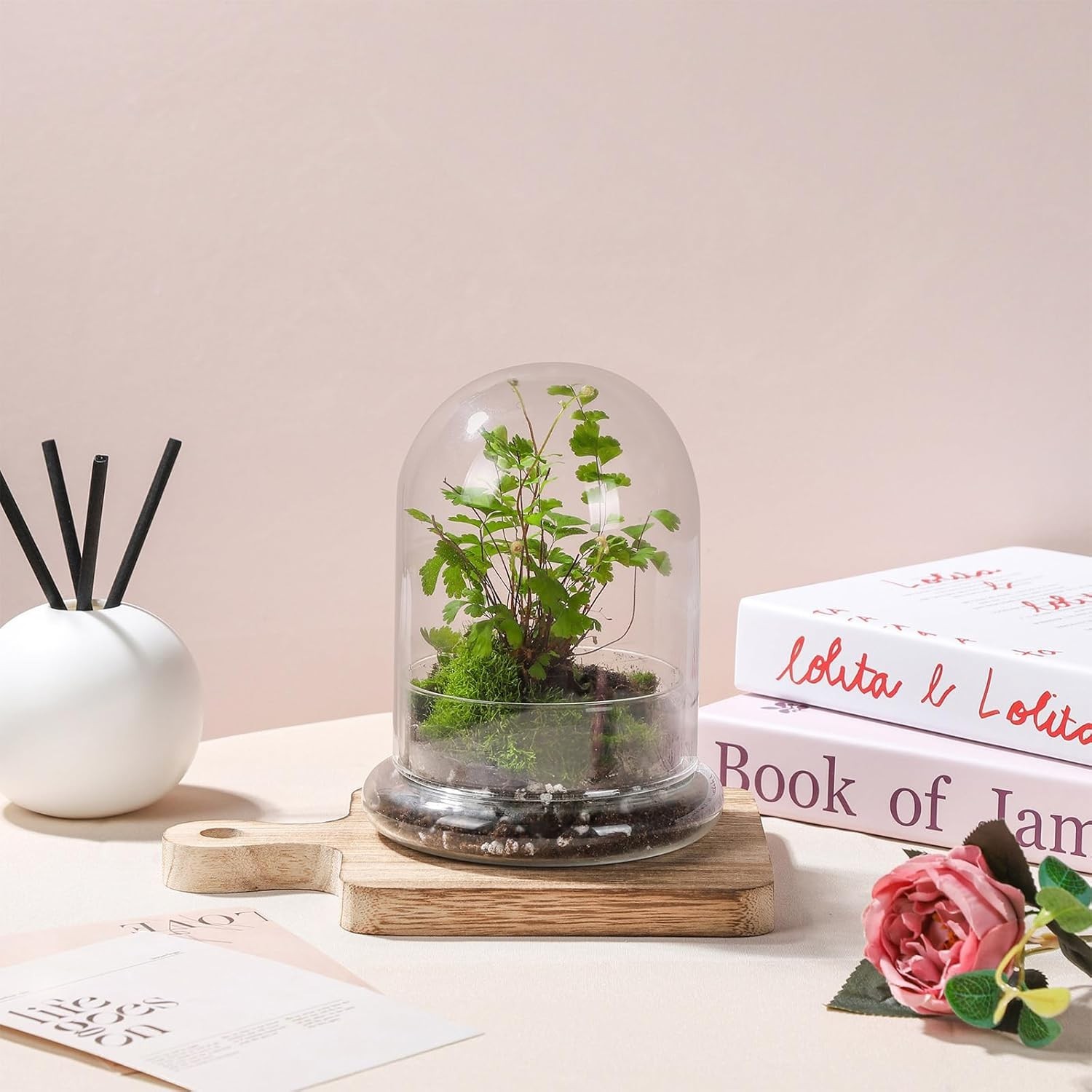 6 inches Glass Cloche Indoor Plants Small Terrarium Glass Cloche W/ Base Mini