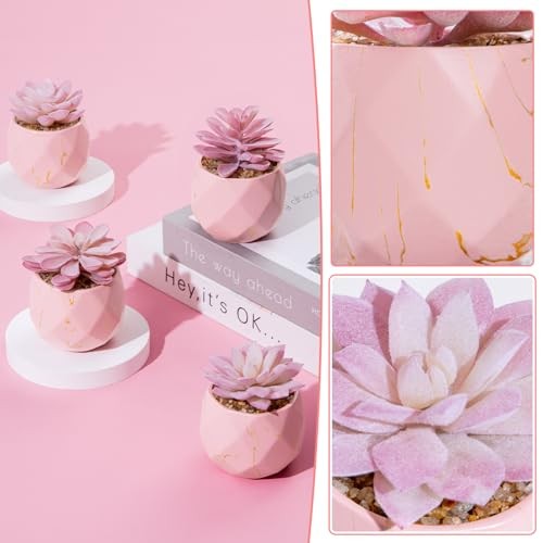 ZENIDA Artificial Succulent Plants in 4 Pink Ceramic Pots, Cute Fake Plants