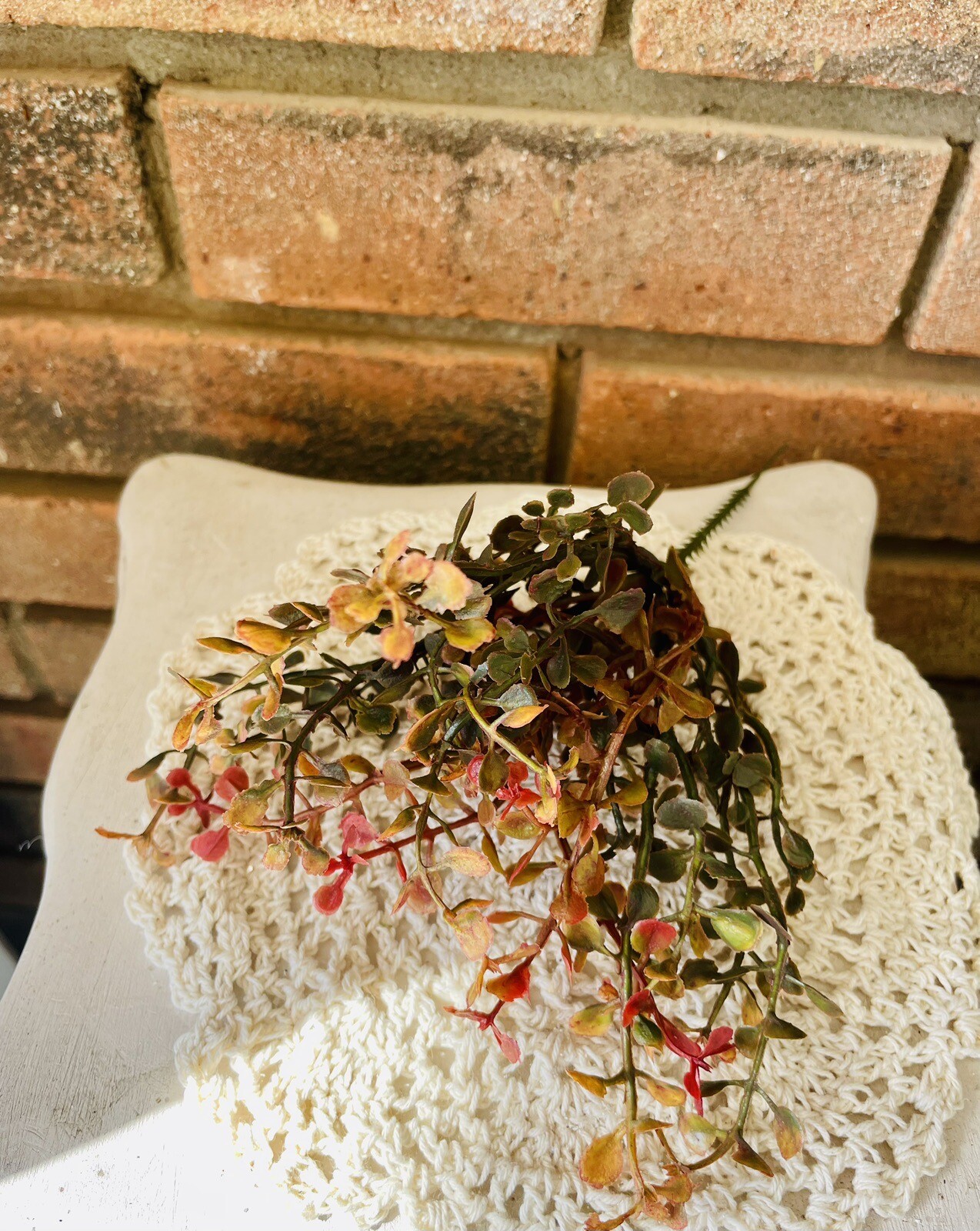 Red Baby’s Grass Pick, 9”