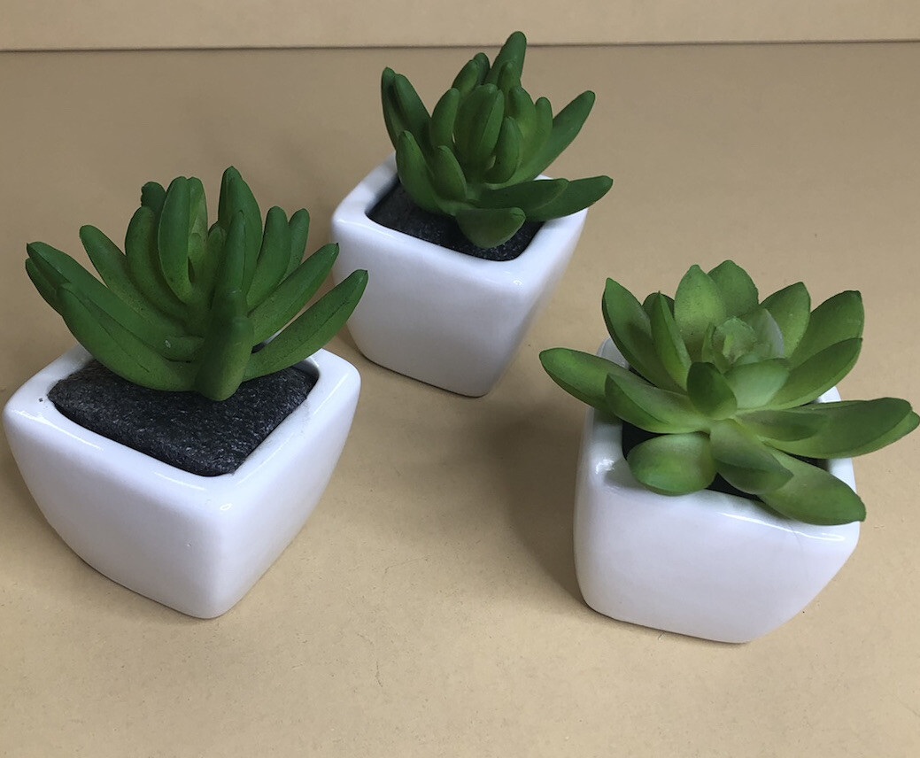 Set of 3 Plastic & Porcelain Succulents Green White 3×2 inches Each Fake Plants