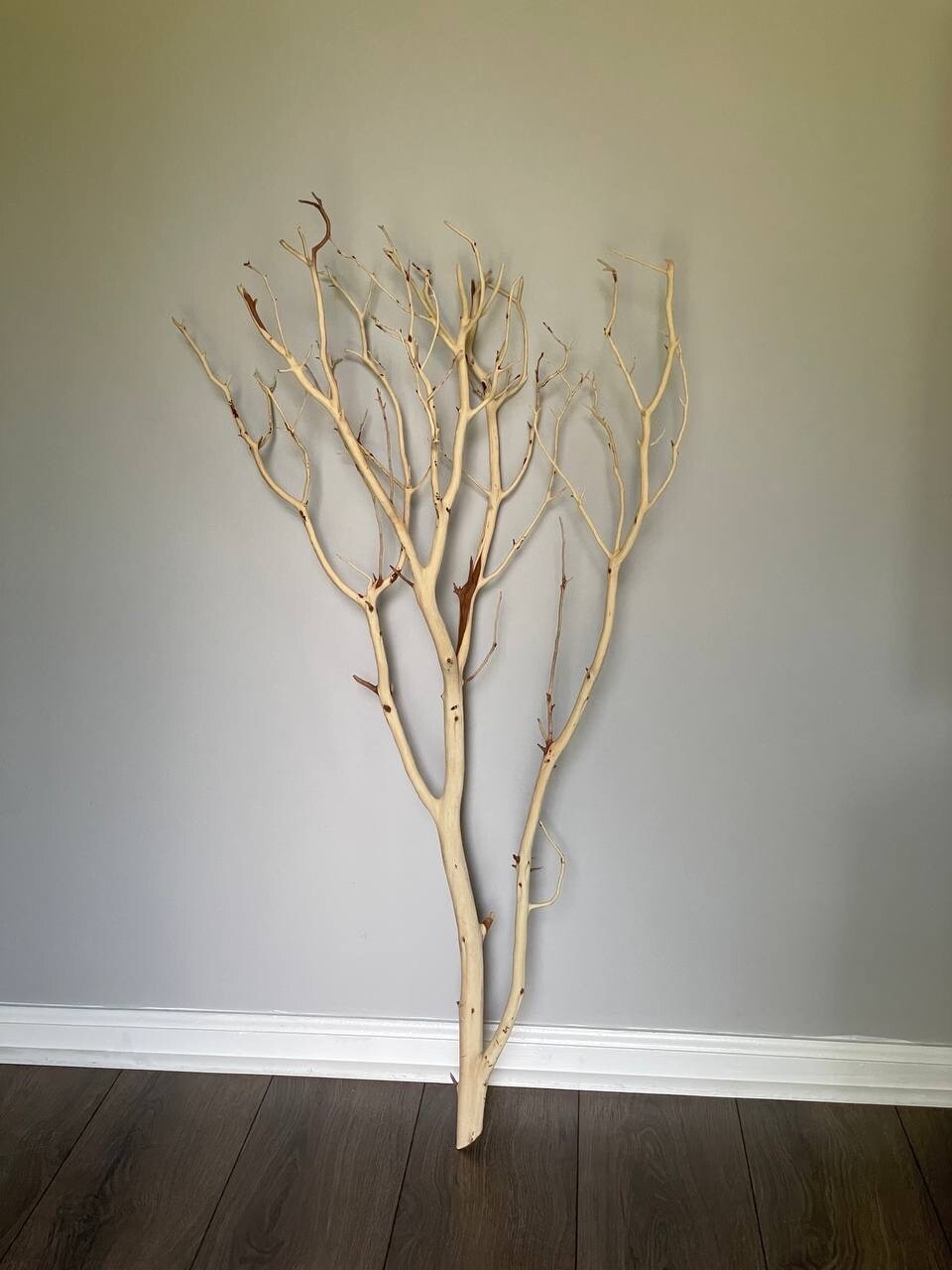 2 Manzanita Branches – Sandblasted 48″
