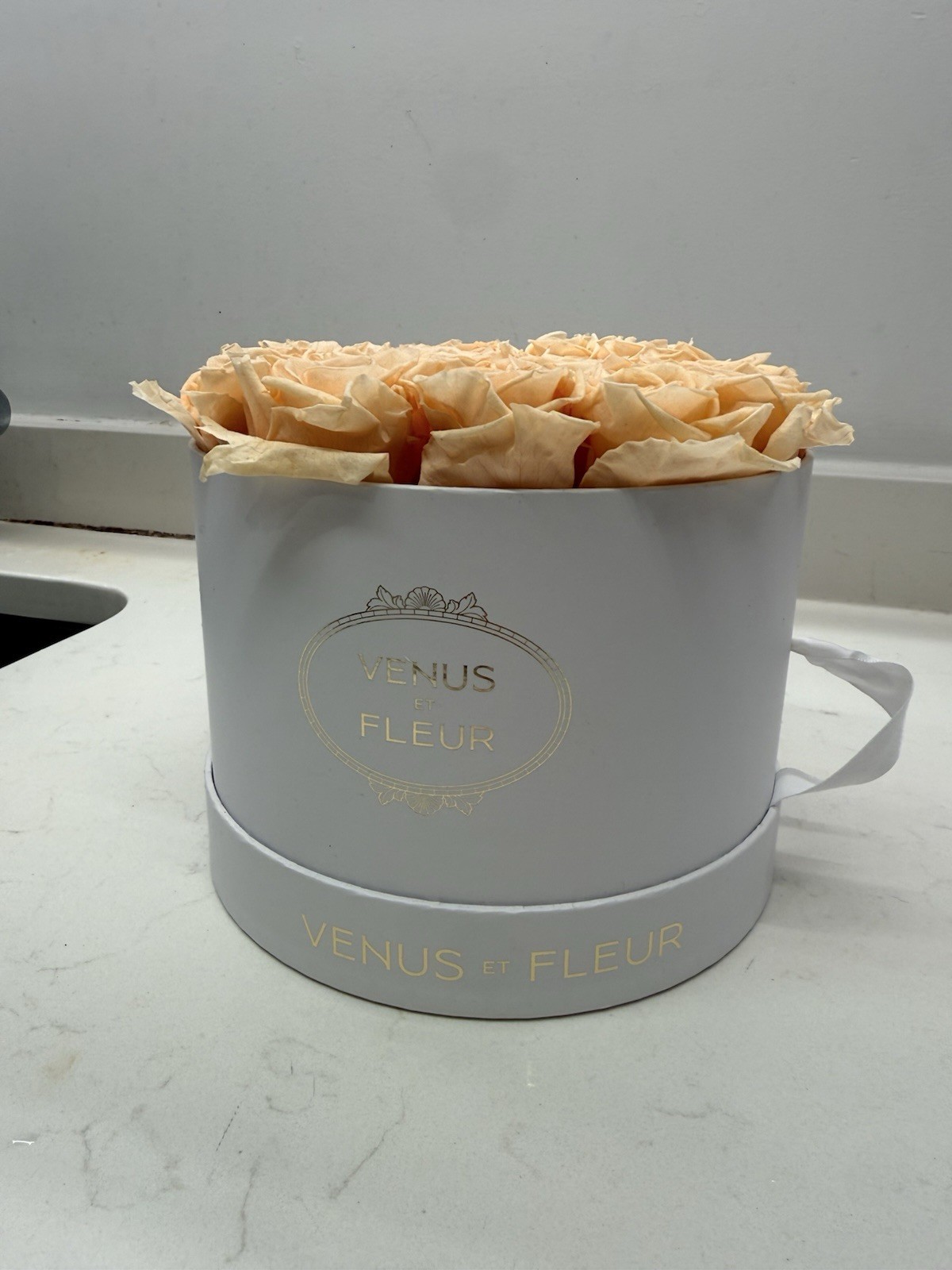 Venus et fleur Round white&gold box 15 Eternity Rose Papaya color