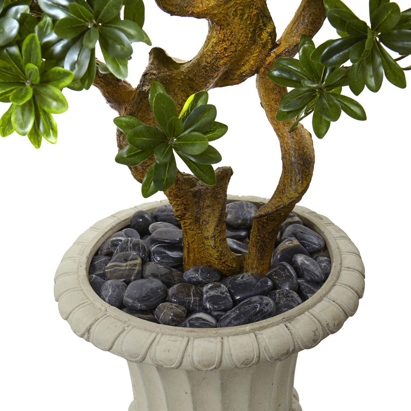 6′ Artificial Pittosporum Tree in Decor Urn UV (Indoor/Outdoor). Retail $499