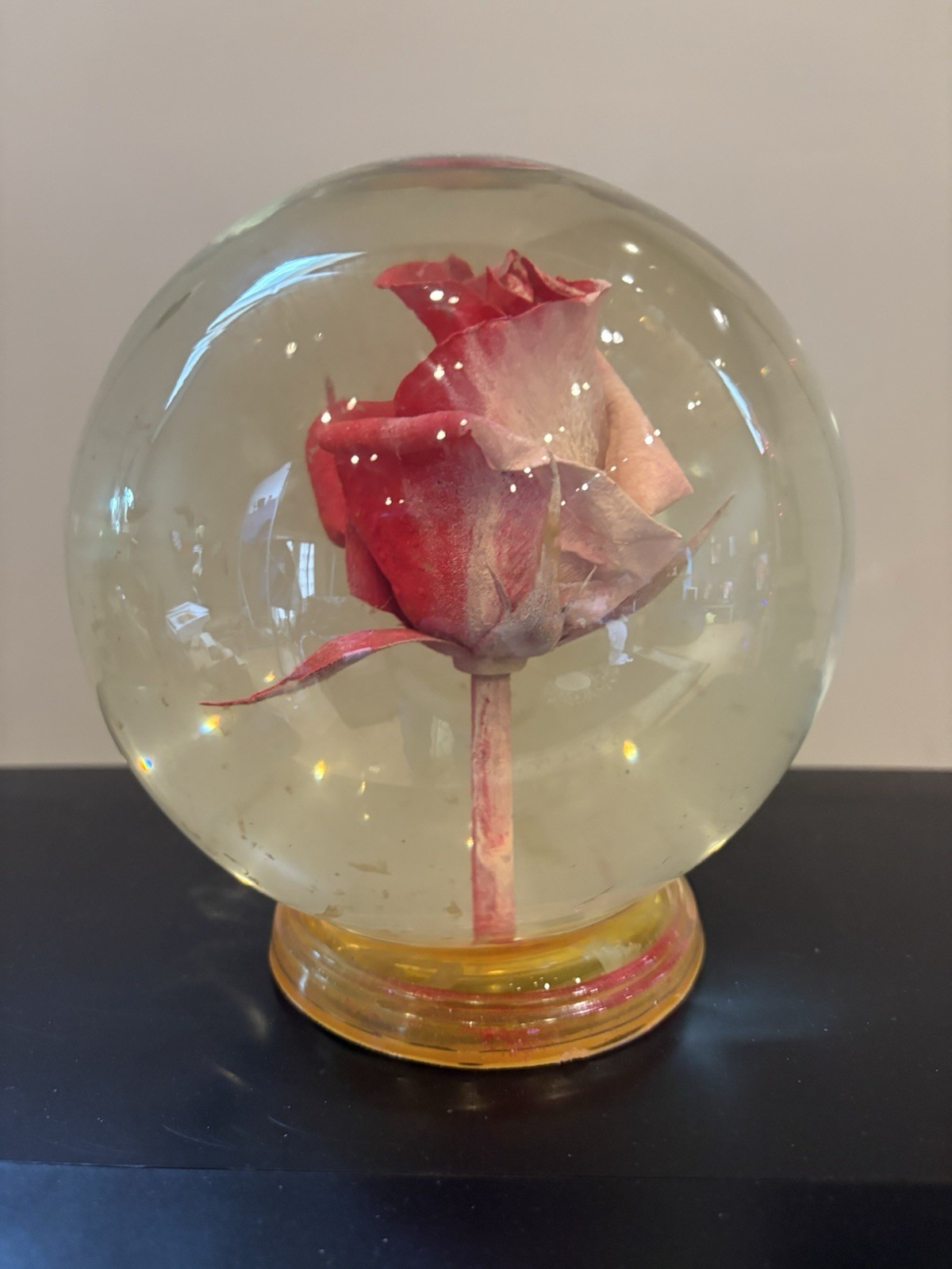 Vintage Preserved Real Rose in Glass Water Dome Globe