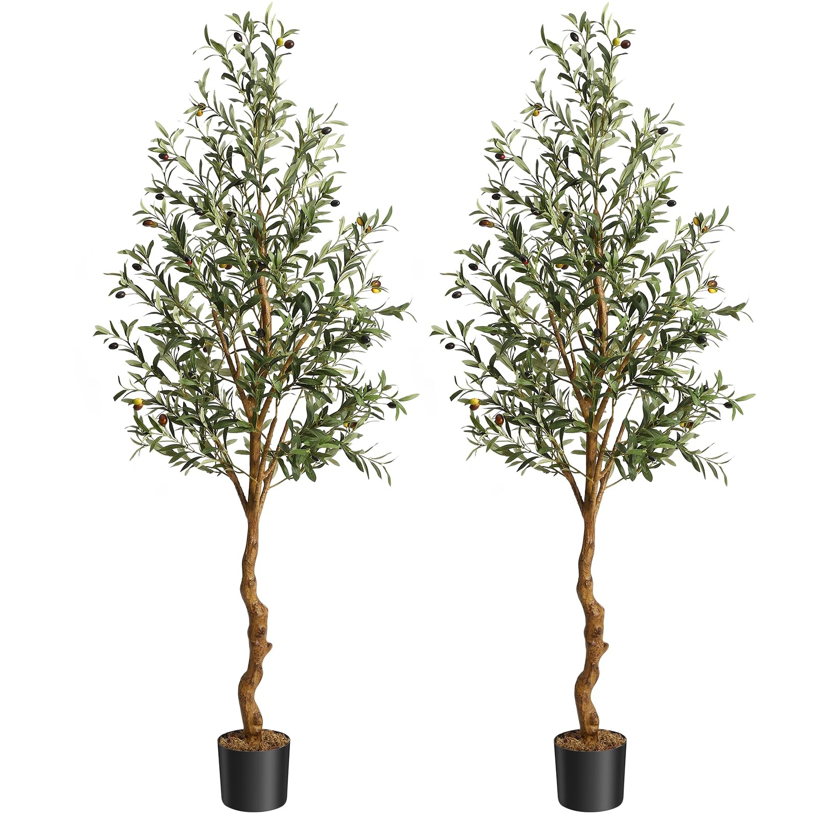 6 ft Artificial Olive Tree Indoor, Tall Faux Olive Tree with Moss, Black Nurs…
