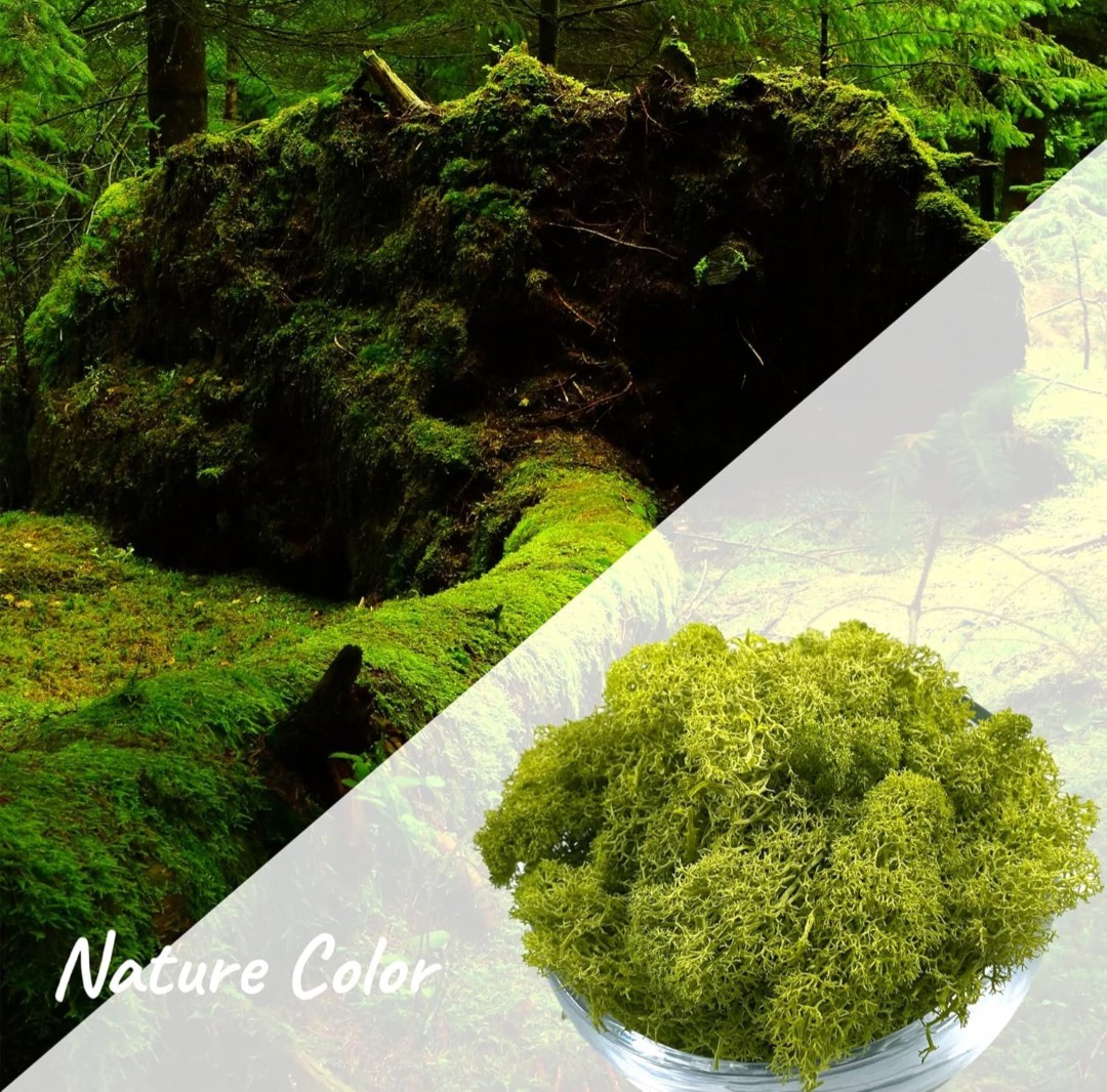 8.8 oz. Natural Preserved Moss for Crafts, Art Projects, etc. Lemon Yellow-Green