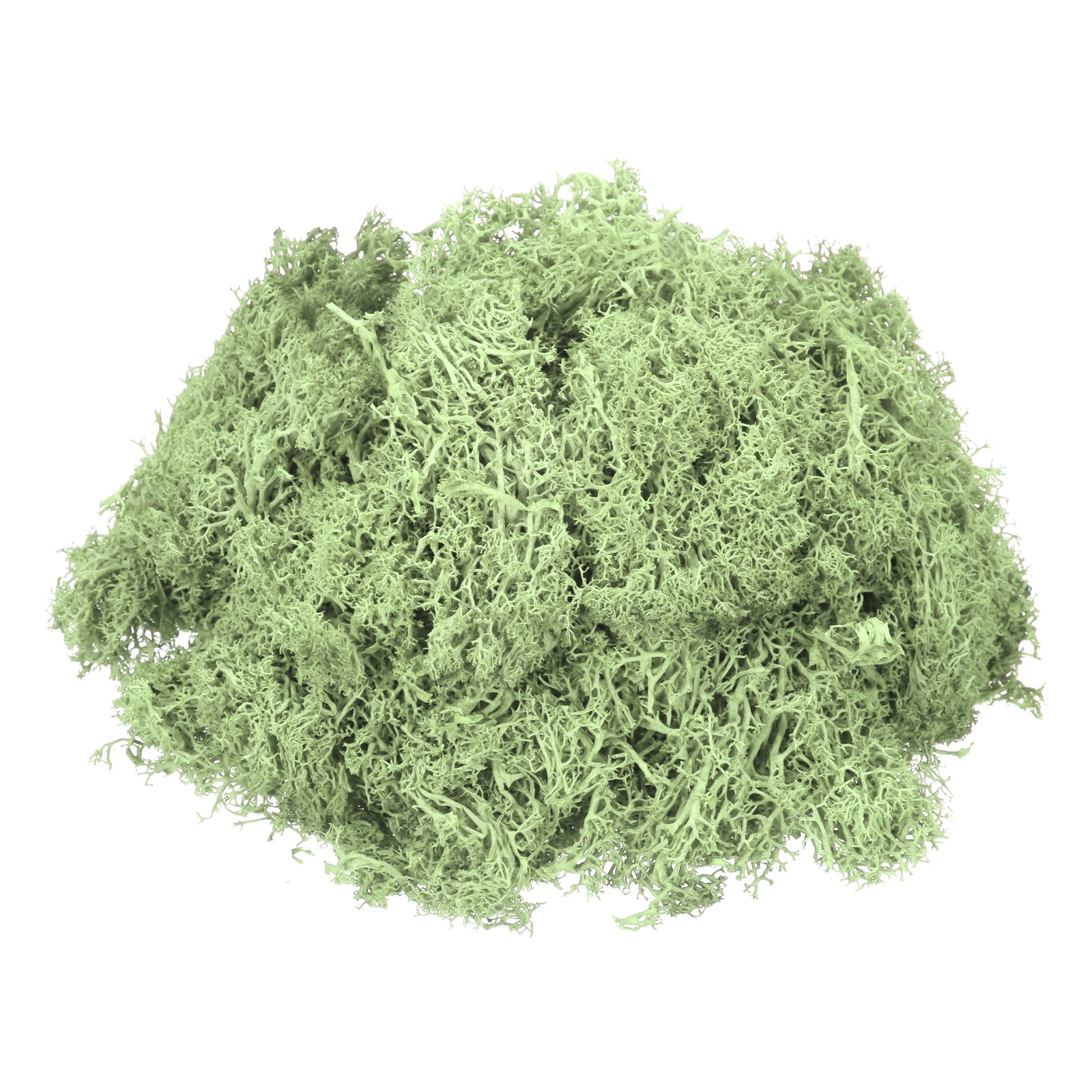 7.4oz Preserved Reindeer Moss, Light Green Decorative Artificial Fake Moss