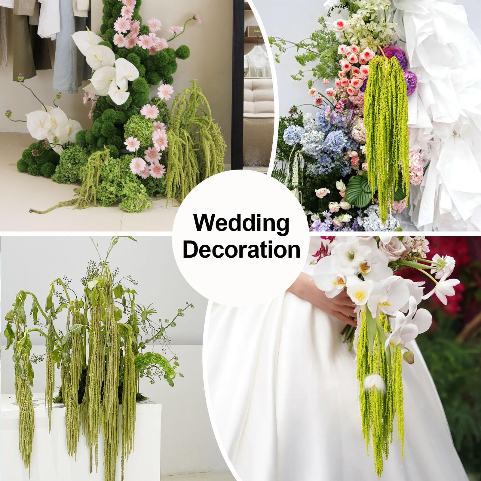 7Pcs Dried Amaranthus Hanging Flowers, 23″ Neon Lime Green Preserved Wisteria…