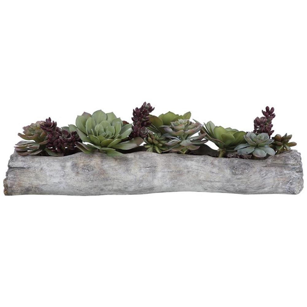 Uttermost Charita Contemporary Plastic Iron Cement Succulents in Green