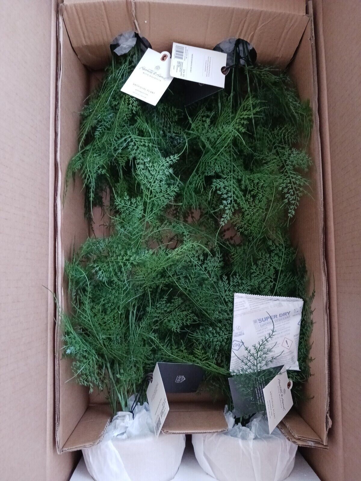 4 Hearth and Hand with Magnolia Artificial Faux Potted Plants Asparagus Fern Lot