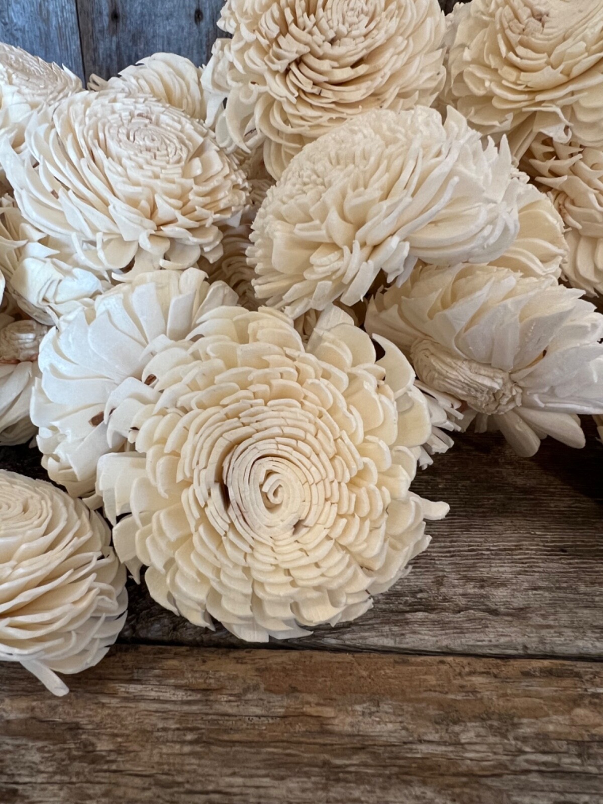Chorki Belly Sola Wood Flowers – Set of 50 – Craft Flowers