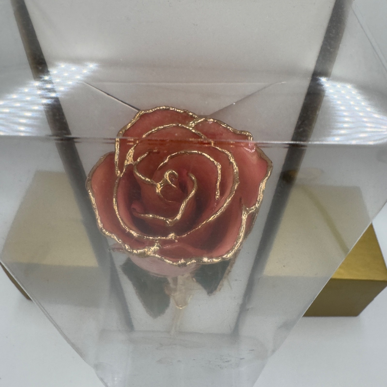 24K gold Dipped REAL Rose “Sunset” pink & orange The Original Since 1981
