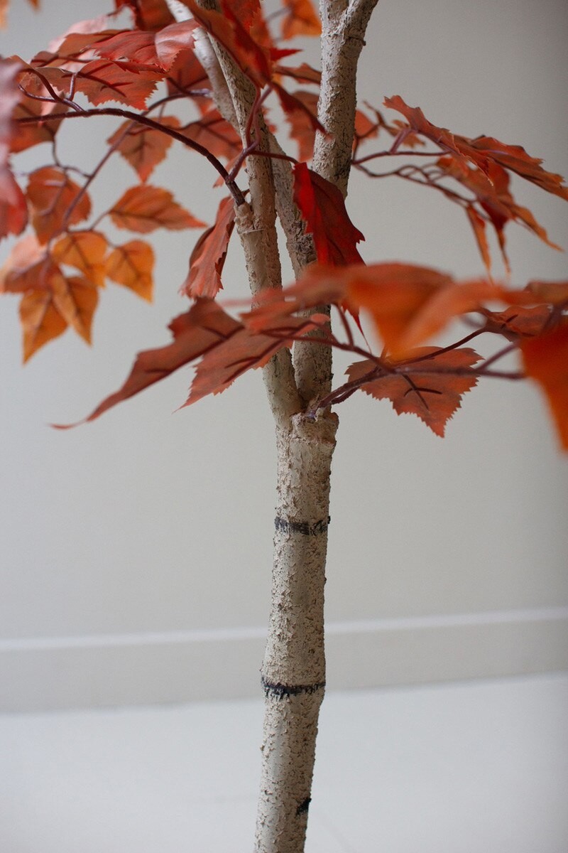 Artificial Autumn Birch Tree In Black Plastic Pot Designed For Home Display