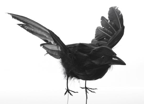 Package of 2 Black Feathered Flying Artificial 7-1/2″ Black Crows