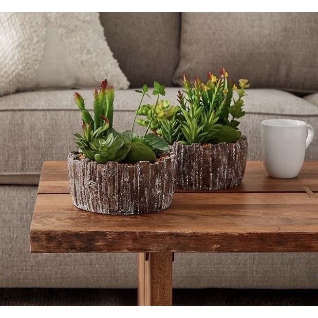 Pure Garden Set of 2 Faux Succulents in Concrete Planters 50-LG1146 8in Tall