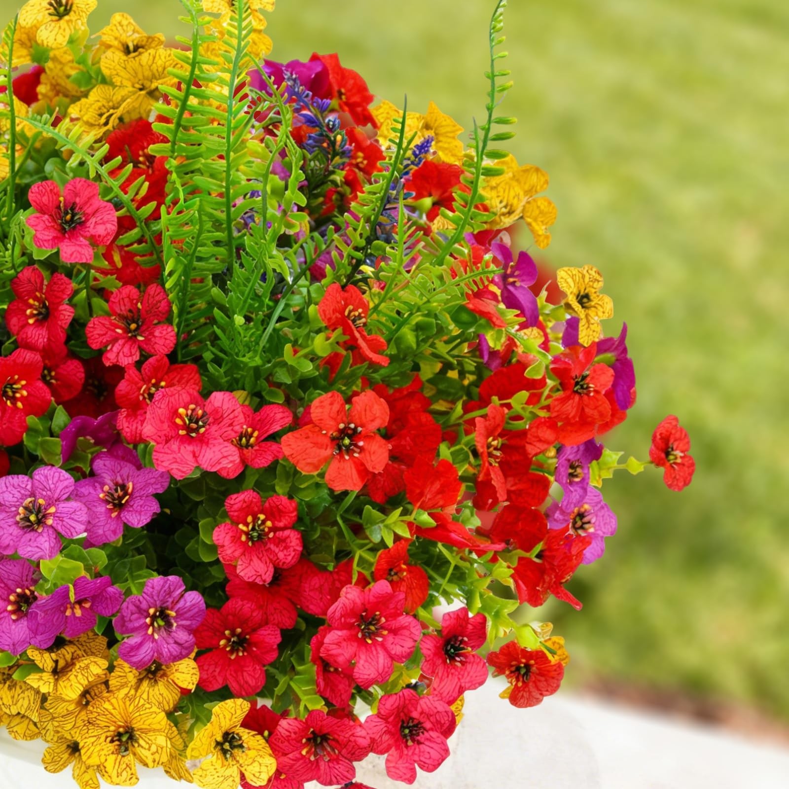 Flortevera Daisy Flowers Red Yellow Purple Rose Green