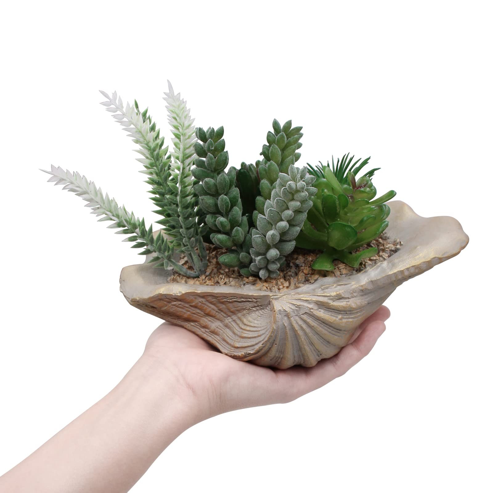 Resin Decorative artificial succulent arrangement in shell-shaped planter