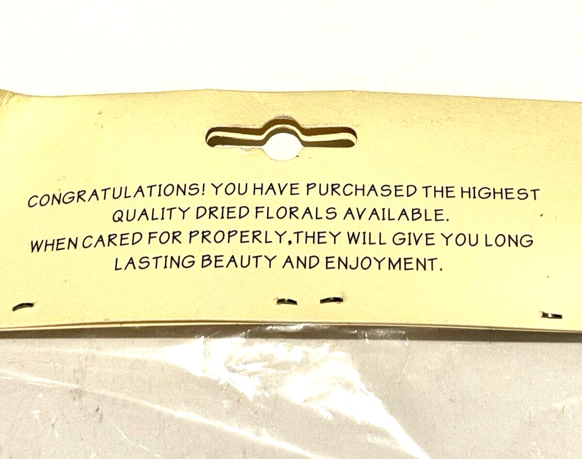 Grand Impressions Dried Florals Leaves Shark 825100 Wedding Craft Decor NEW READ