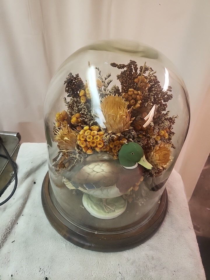 VTG Boho Dried Preserved Floral Bouquet Glass Dome Cloche Arrangement Decor