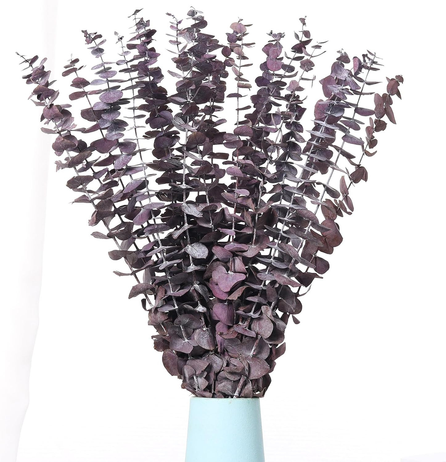 20 Pcs Dried Eucalyptus Stems, 17” Natural Real Live Greenery Eucalyptus Leaves