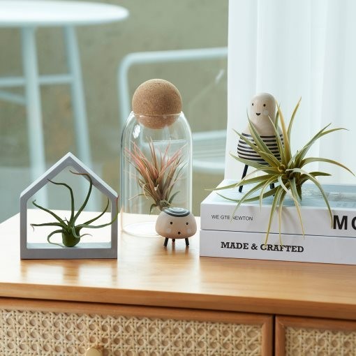 IKEA FEJKA Artificial Plant Set Of 3 Air Plant Selling 2 boxes as a bundle