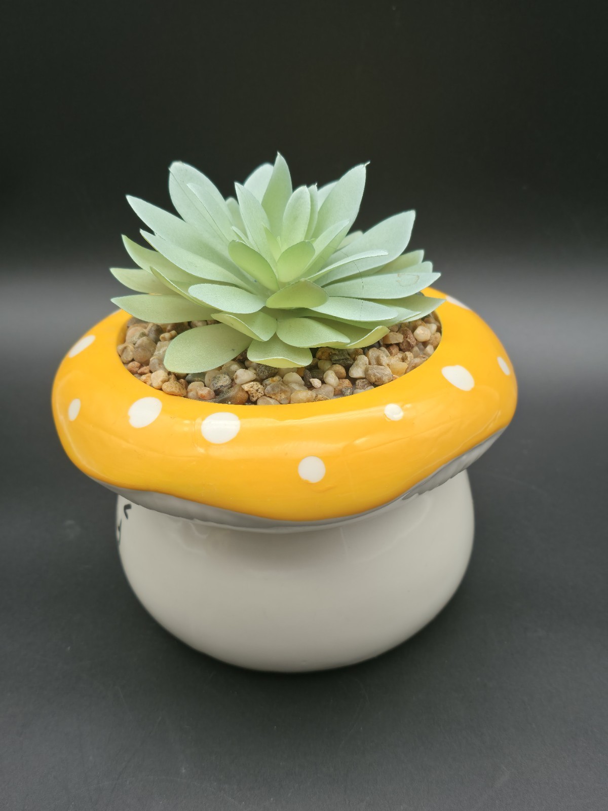 Succulent In Mushroom Pot With Face, Coffee Table Decoration