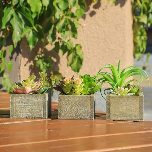 Artificial Succulents in Pots, Artificial Plants for Home Decor Organic