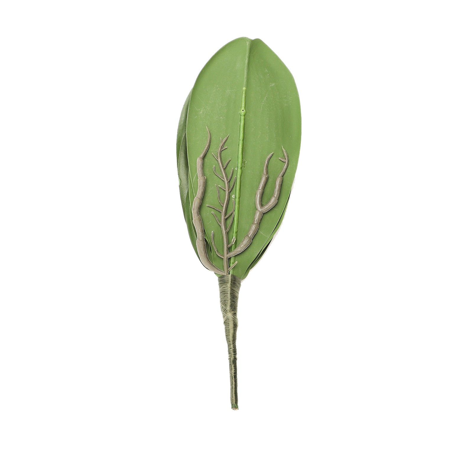 Eva Large 4 Pieces Of Phalaenopsis Leaves Orchid Leaves Wedding Home Decorati US