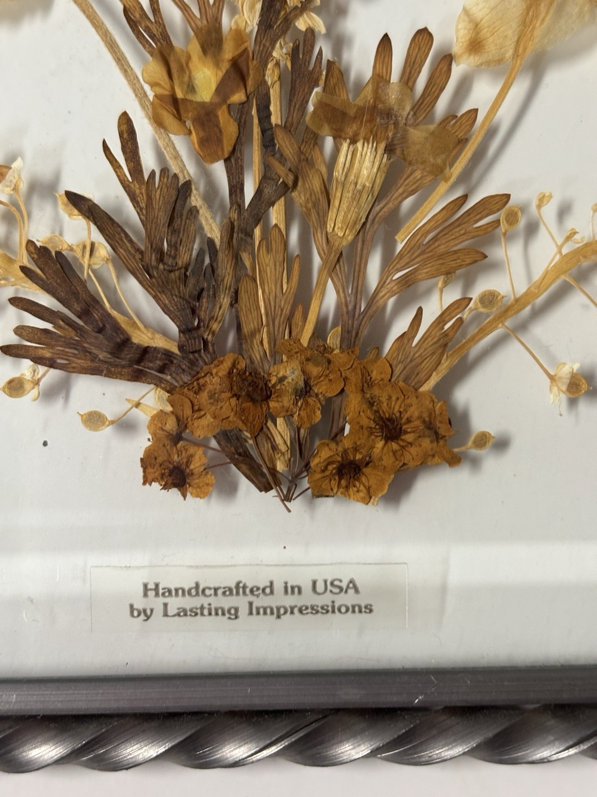 Lasting Impressions Glass Framed Pressed Dried Flowers Wall Decor 7”x5” Vintage