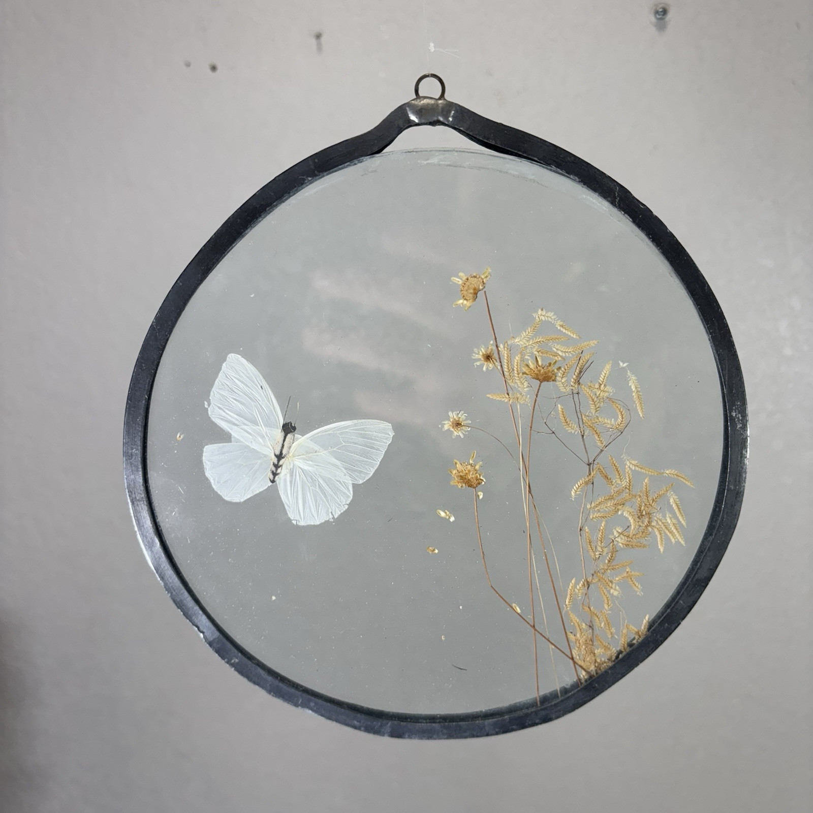 VTG Pressed Flower Butterfly Suncatcher Beveled Glass Decoration Boho Cottage 7”
