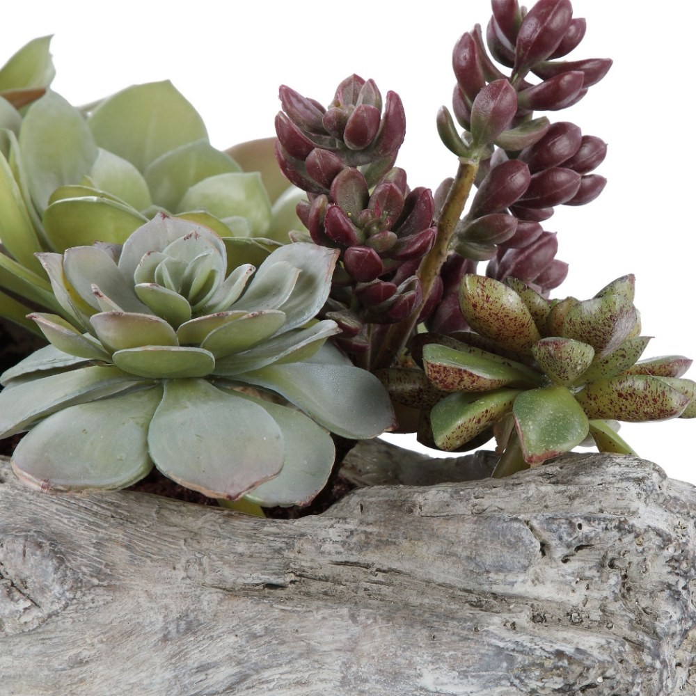 Mulberry Green – 29.5 inch Lush Succulents – Decor – Planters – 208-BEL-4190640