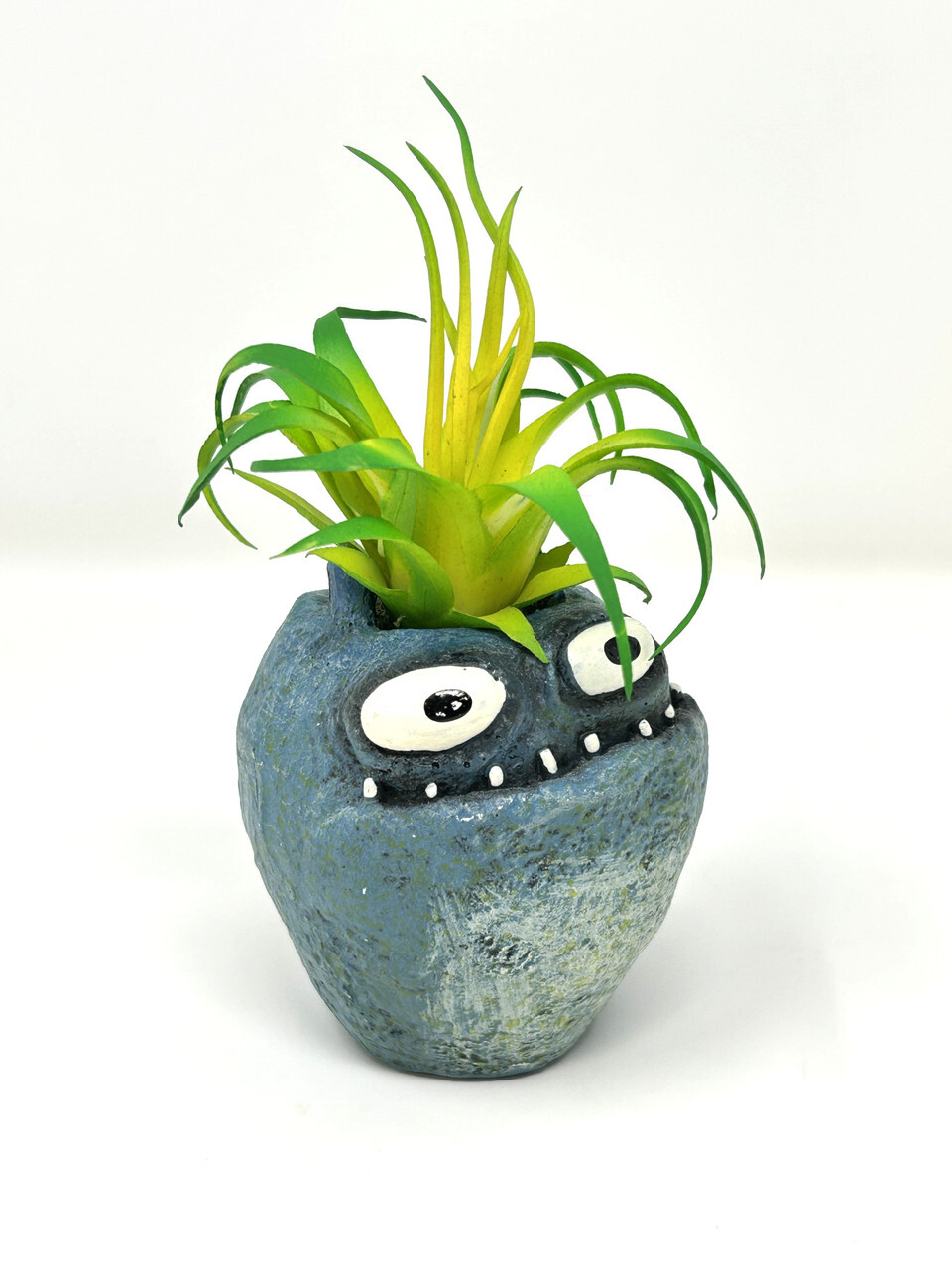 4.5 in. Potted Blue Monster MURPHY Blob House Mini pot WITH faux Harrisii Air pl