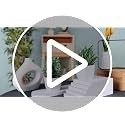 Der Rose 2 Pack Artificial Fake Plants Small Potted Greenery for Home Office Dec