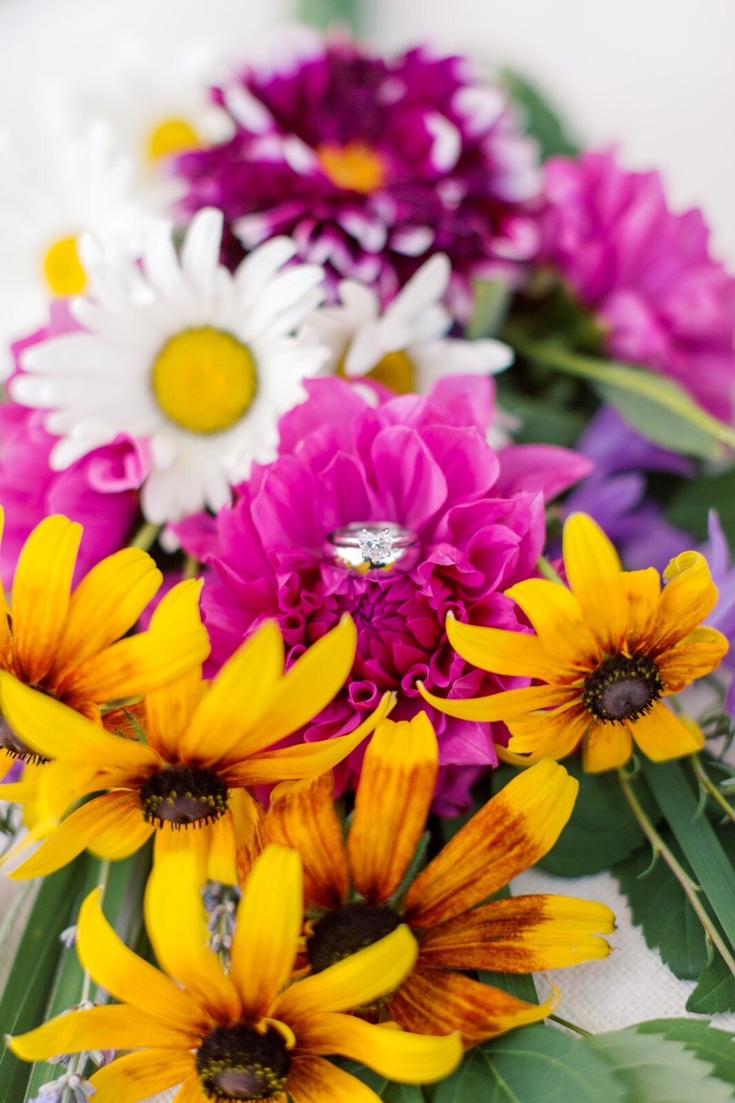 Fresh Cut Variety Flowers – Garden of Eden Flower Company