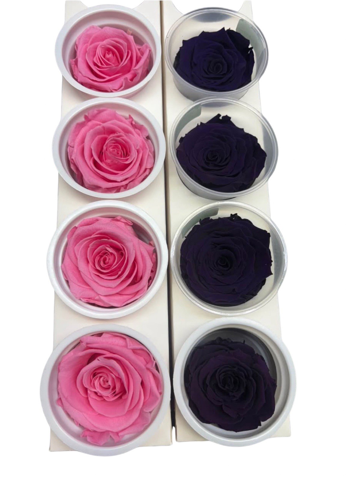 Eternal Roses Pack of 6 Brand New Multiple Colors Florist Event Decor
