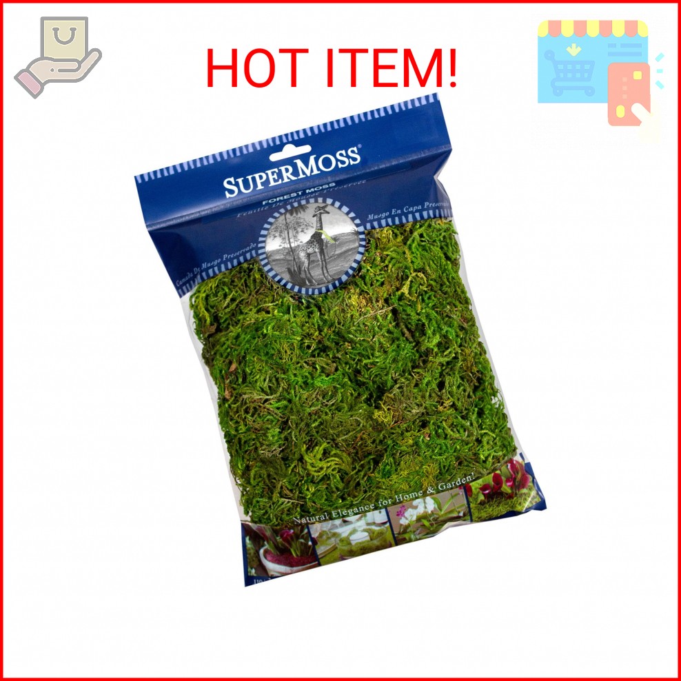 SuperMoss Forest Moss Preserved Lasting Decorative Long Fibers for Potted Plants