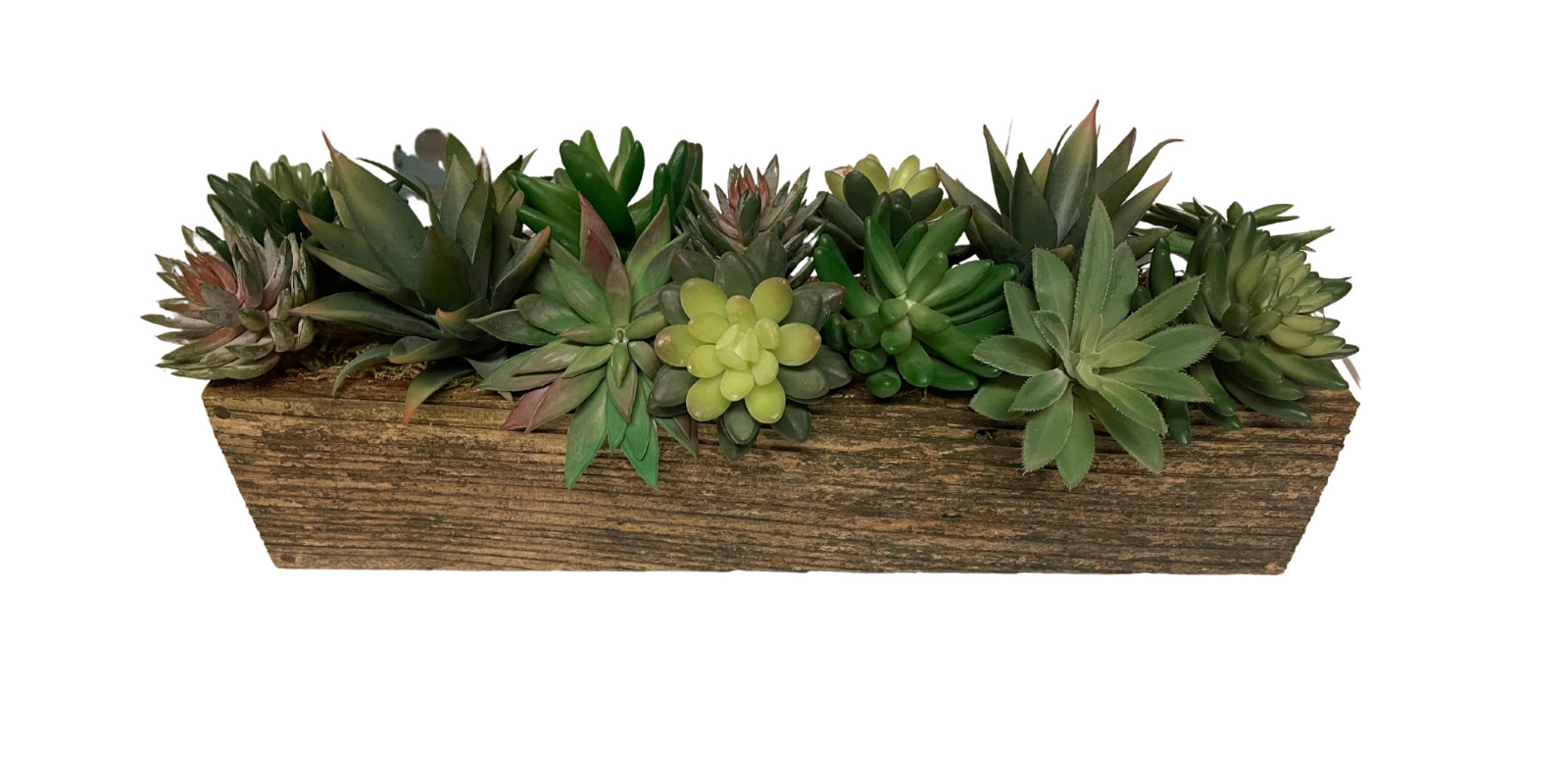 Artificial Succulent Plant Arrangement in Rustic Wood Planter – 18in or 24in