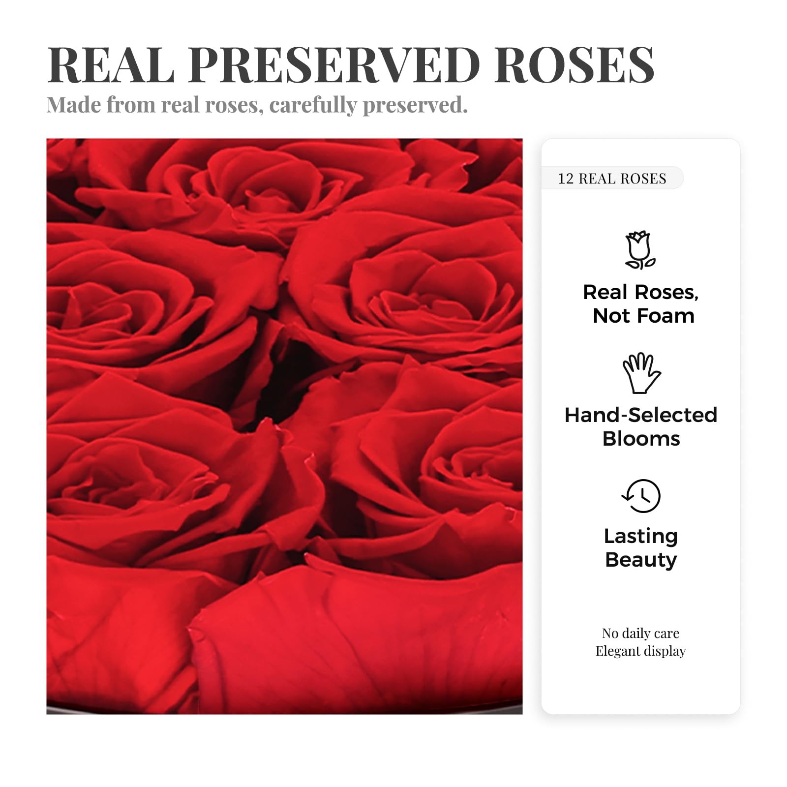 12 Preserved Roses in a Box Real Forever Flowers Luxury Round Gift Red