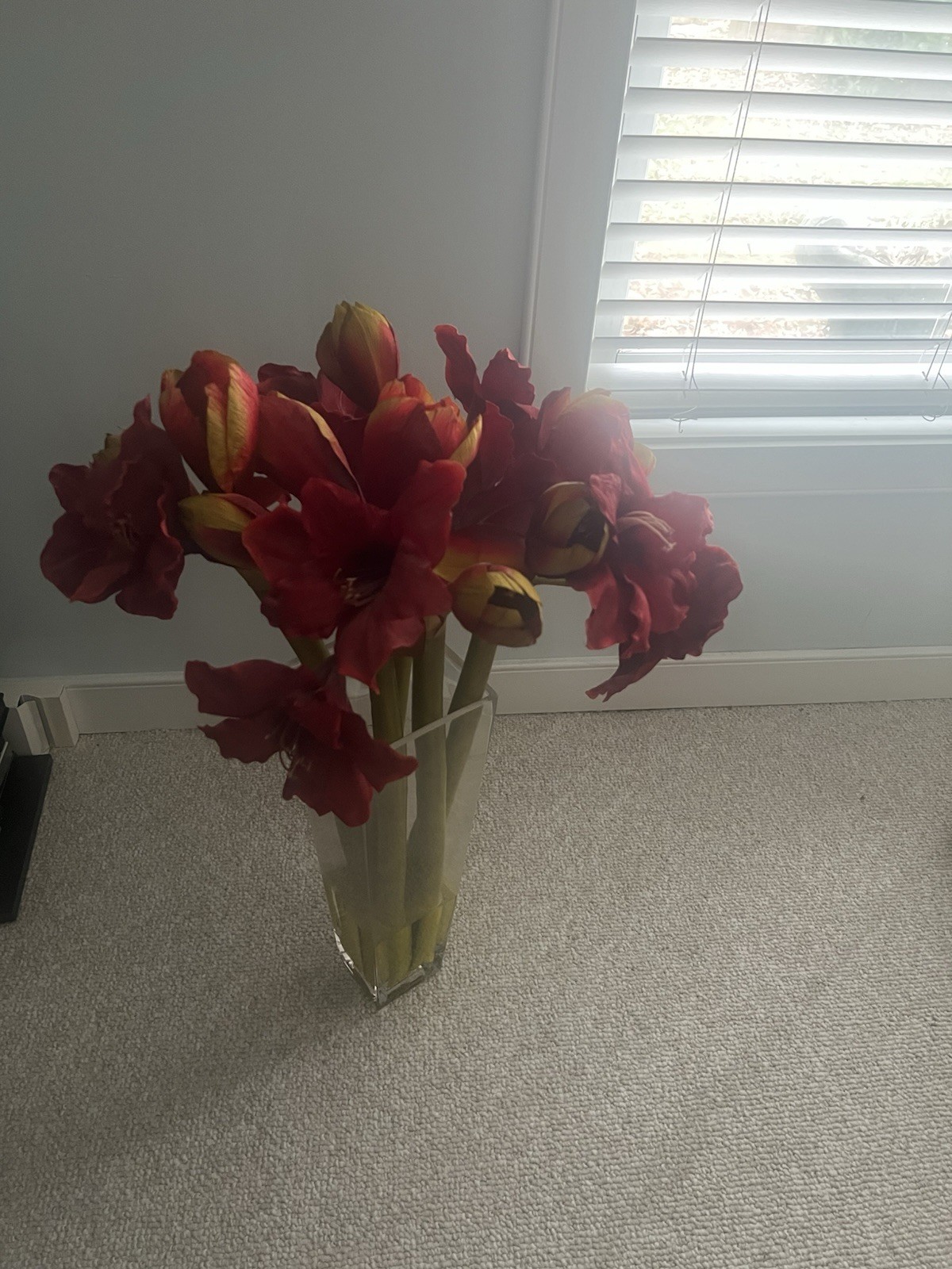 Silk Red Amaryllis Arrangement