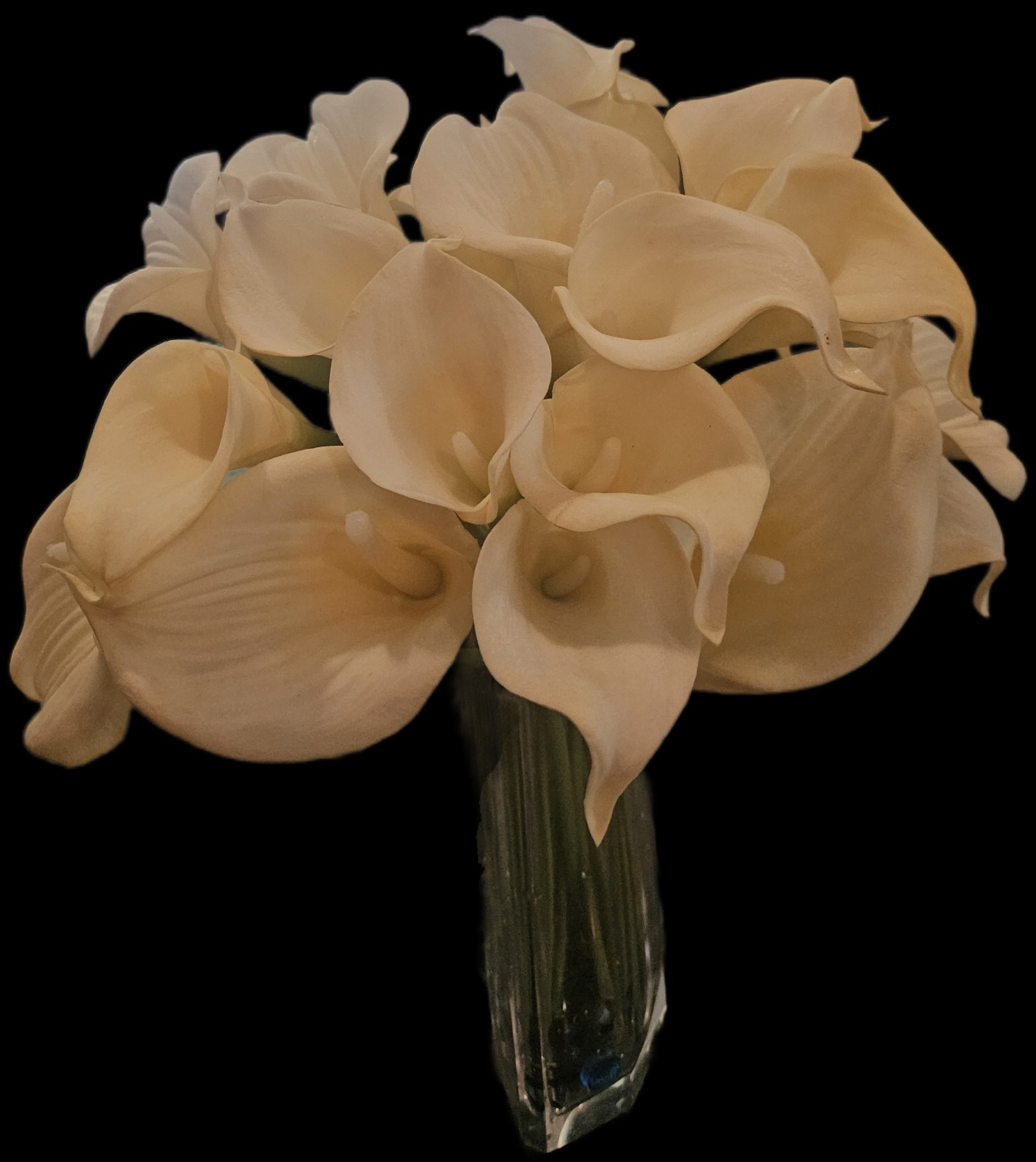 Calla Lillies: 26 pcs, life-like, latex.