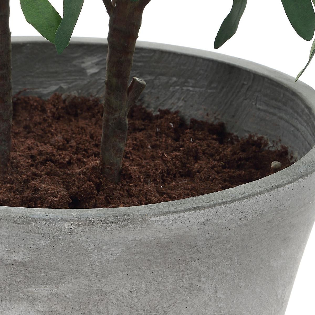 Uttermost 60268 Marisol Stone Gray and Green Potted Olive Plant