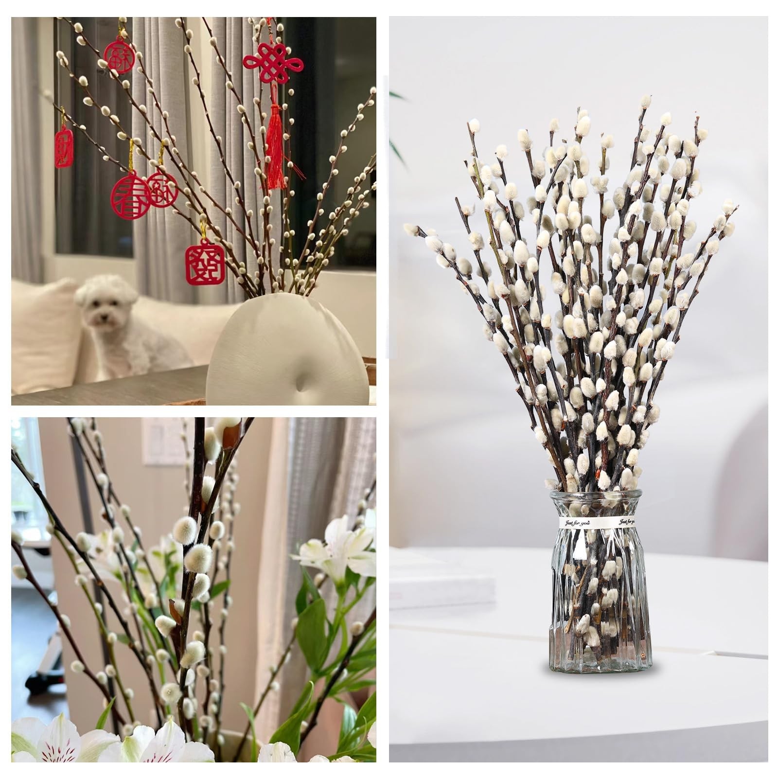 Natural Preserved Dried PussyWillow Branches for Vases, 15 Stems Real Willows…