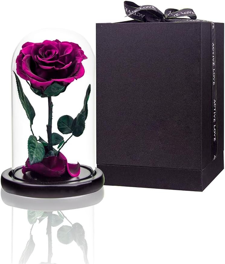 Luxury Preserved Roses in Glass Dome – Perfect for Anniversary and Mother’s Day