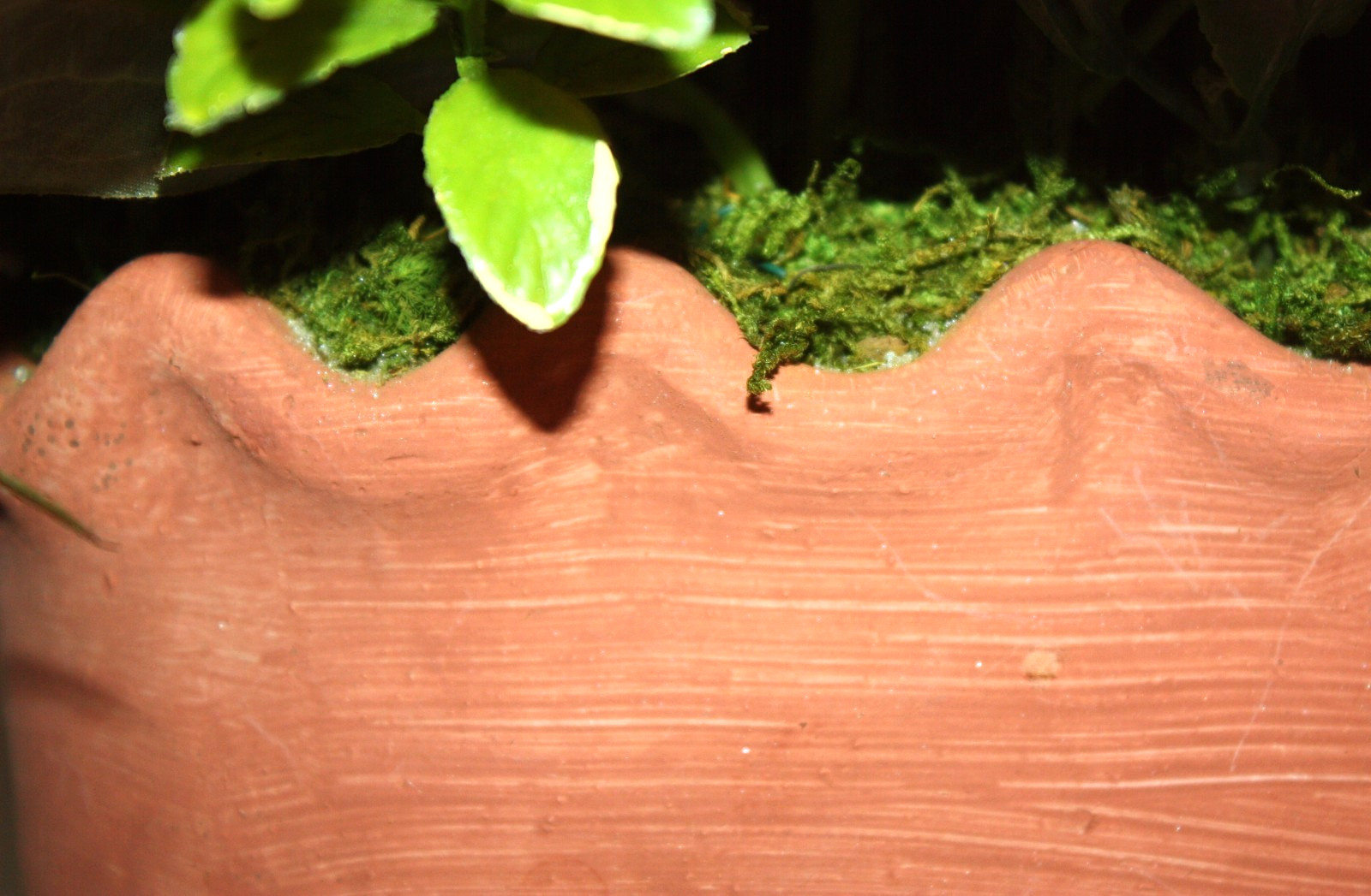Beautiful Floral Arrangement In Terracotta Planter With Mackenzie Childs Bow!
